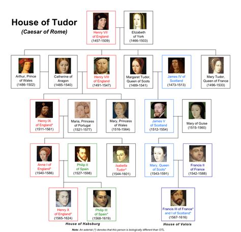 cunnings tudor|house of tudors family tree.